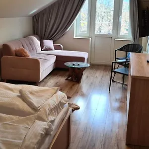 apartament-de-lux-saneczkowa-3-26.karpacz-hotel.com/